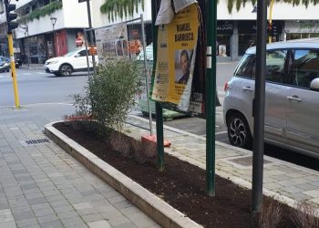 Non convince il verde in via Chieti, Conalpa: “Poco efficace per combattere l’inquinamento” (Fotogallery)