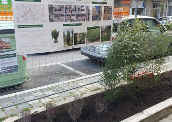 Non convince il verde in via Chieti, Conalpa: “Poco efficace per combattere l’inquinamento” (Fotogallery)