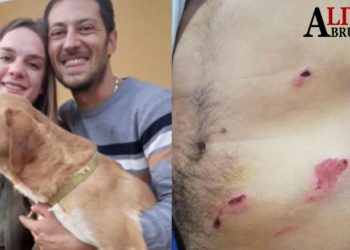 Aggredito da un orso nel Parco nazionale d’Abruzzo: l’audio delle urla strazianti e del messaggio d’addio
