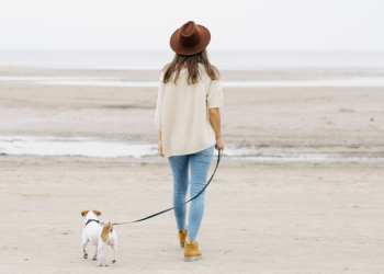 Cani che aggrediscono le persone: nasce l’associazione L’altra parte del guinzaglio