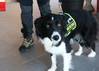 L’ospedale didattico veterinario di Teramo su Rai 1 in un servizio di Linea Verde