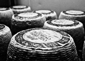 Chiude Reginella D’Abruzzo: la Valle Peligna perde 31 posti di lavoro nel settore caseario