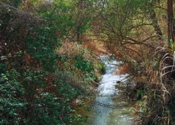 “Ripariamoci!”, al via nuovo progetto sulle fasce ripariali del Bacino del Feltrino