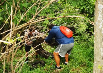 Volontari ripuliscono la Riserva Borsacchio dopo i danni di Pasquetta