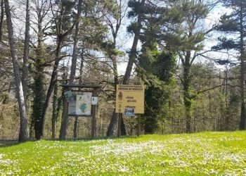 In Abruzzo il primo workshop nazionale per la Rete “Boschi vetusti”, pioniera la riserva di Rosello