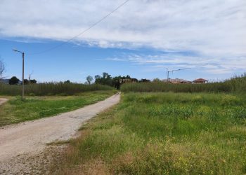 Adottato il piano “Lido delle Palme”: aree verdi e percorsi pedonali in arrivo a Giulianova