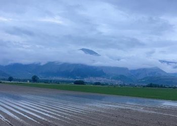 Campagne ancora tra acqua e fango: danni irreversibili alle colture, la situazione nel Fucino e nel resto d’Abruzzo