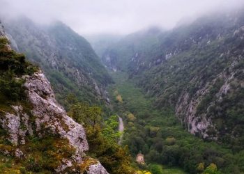 Quando la Natura crea benessere: le Gole del Sagittario certificate “Forest Bathing Center”