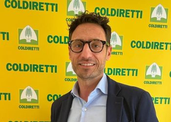 Cambio ai vertici di Coldiretti Chieti: Luca Celestino è il nuovo direttore della federazione provinciale
