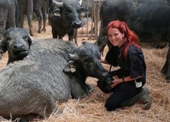Giovane veterinaria dell’Università di Teramo premiata per il suo lavoro sul benessere degli animali