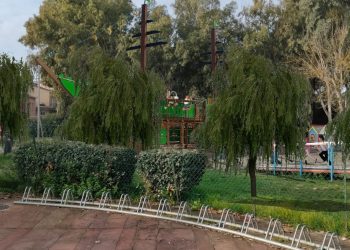 Proseguono i lavori di riqualificazione del parco Franchi: domani le operazioni di sostituzione delle palme