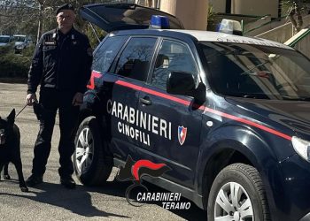 Bagheera trova la droga con il suo fiuto e fa arrestare uno spacciatore