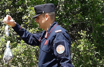 Raccolta tartufi senza autorizzazione, sequestrati 380 grammi di scorzone