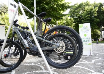 Grande successo per la CicloAppennina: oltre 500 partecipanti e 60mila alberi da piantare