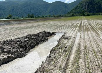 Maltempo e danni nel Fucino, Fedele (M5S): “Occorrono interventi per aiutare comparto agricolo”