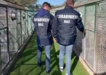 Gli animalisti contro il canile di Sulmona: è abusivo, chiediamo chiarezza