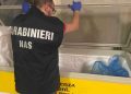 Controlli dei carabinieri del Nas nelle 4 provincie d’Abruzzo: sequestri e sigilli in diversi esercizi commerciali