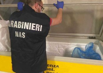 Controlli dei carabinieri del Nas nelle 4 provincie d’Abruzzo: sequestri e sigilli in diversi esercizi commerciali