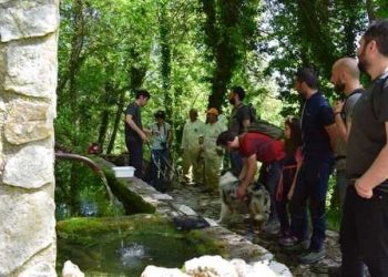 “Bioblitz” in abbeveratoi e fontane, ecco lo studio sulla biodiversità