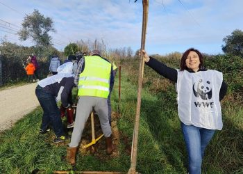 Adotta un albero per creare aree verdi in città, al via la campagna Riserva del Borsacchio e Comune di Roseto