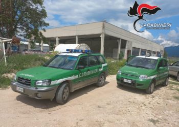 Discarica abusiva di rifiuti speciali pericolosi in una cava: denunciato 75enne