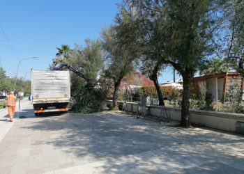 Ripulito il tratto della spiaggia di Pescara abbandonato