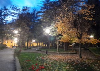 Boschi e alberi nei centri urbani o lungo i viali alberati, il Wwf fa il punto in un convegno