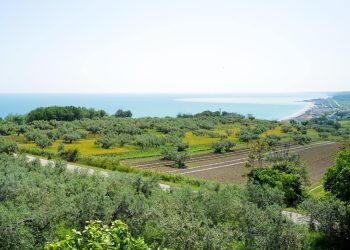 Calo delle imprese agricole in Abruzzo nel primo trimestre del 2023, preoccupazione di Cia 