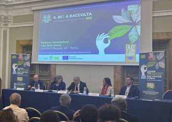 Made in Italy bio, D’Eramo: al fianco dei produttori per semplificare e avere marchio