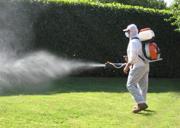 Nuove date di disinfestazione per il Comune di Lanciano