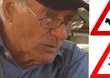 Cervo, mucca, fiammifero, addio a Michele Jocca: disegnatore abruzzese “papà” dei segnali stradali