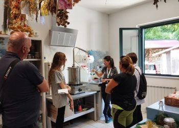 Naturarte Maiella, la seconda edizione punta su attività pratiche: tra fiori e piante autoctone