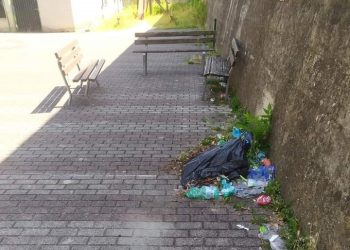 Le strade di Tollo tra erba alta e sporcizia: la denuncia di un cittadino