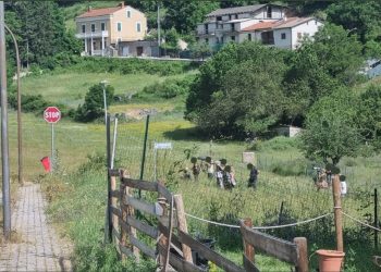 L’orsa Amarena disturbata dai turisti a Villalago, il Parco nazionale d’Abruzzo: pericoloso e sbagliato