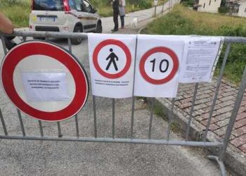 Orsa Amarena e i suoi cuccioli mangiano ciliegie, folla di turisti: il sindaco chiude la strada