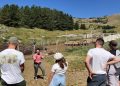 Concluso il primo campo famiglia dell’oasi Wwf nelle terre dell’orso 