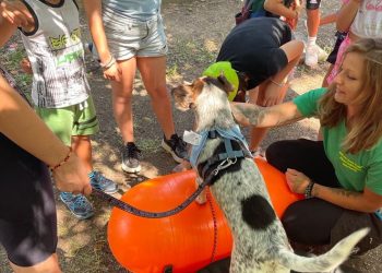 Rispettare gli animali giocando: cinque gli appuntamenti con la Lida di Ortona