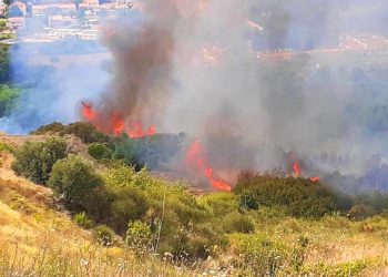 Emergenza incendio a Bolognano, a fuoco vigneti e uliveti