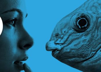 One health award, a Teramo dal 13 al 15 ottobre: Crocevia Mediterraneo è il tema della 2° edizione