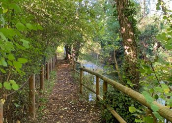 Sorgenti del Vera, Taranta e il Comitato Gestione: “Riserva è bene collettivo, Asbuc di Tempera non può accampare pretese”