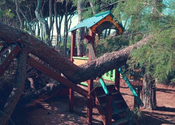 Paura nel parco a Pineto, un grosso albero si spezza e finisce sui giochi (fotogallery)