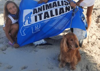 Unica beach, la spiaggia per cani protagonista Mediaset