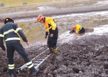 Lago Pietranzoni in secca, bovino rimane impantanato nel fango: salvato dai vigili del fuoco