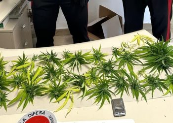 Continuano i controlli dei carabinieri lungo la costa: 3 arresti e 7 denunce