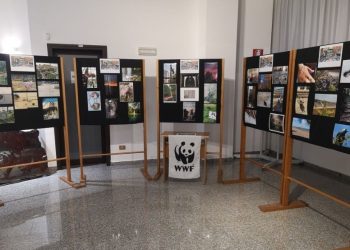 Sesta edizione del concorso fotografico di WWF Chieti-Pescara e Museo universitario