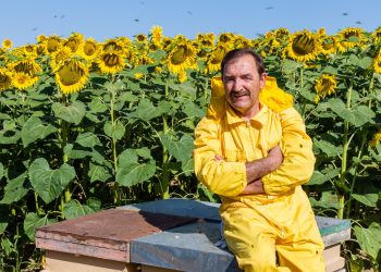 Miele e Apicoltura, Luca Finocchio porta l’Abruzzo sul tetto del mondo