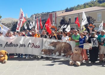 Duemila persone per l’orso, in arrivo animalisti da tutta Italia (Fotogallery)