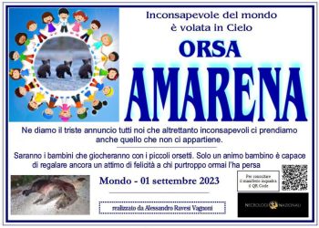 Orsa Amarena uccisa, spunta anche un necrologio nazionale
