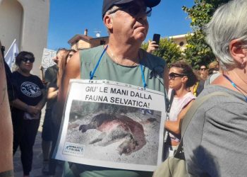 Protesta degli attivisti a San Benedetto contro i manifestanti: sedata dalla polizia