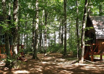 La magia degli gnomi e della natura nel “Bosco delle meraviglie” a Roccaraso